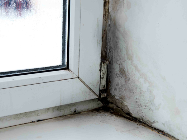 Mould in the corner of a window