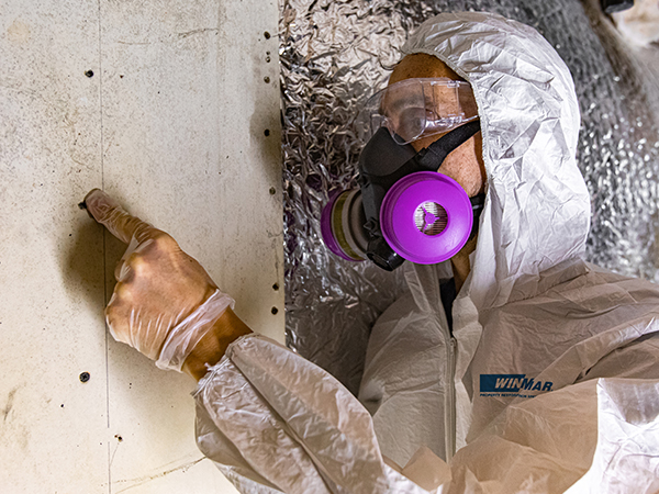 Detecting asbestos
